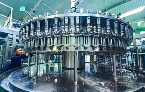 数字为翼 产业为基 文旅为媒 乐陵以民生底色绘就特产兴城新图景