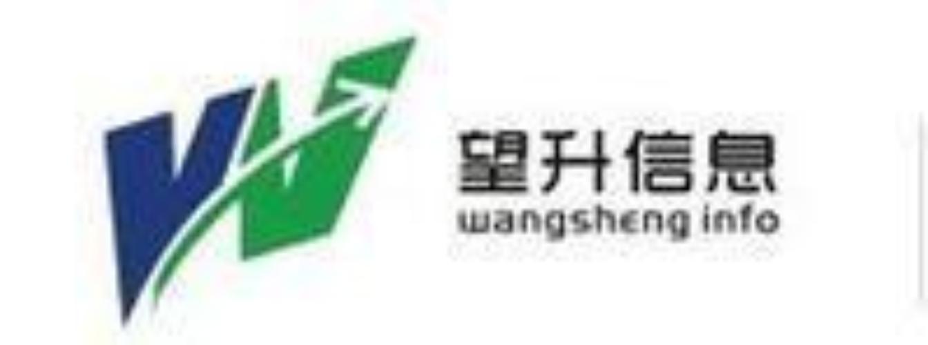 望升数字技术服务 赋能数字化转型的新引擎